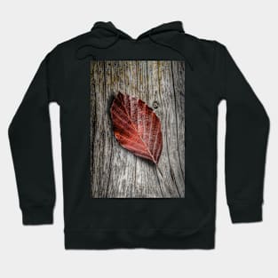 Autumn Leaf On Wooden Background Hoodie